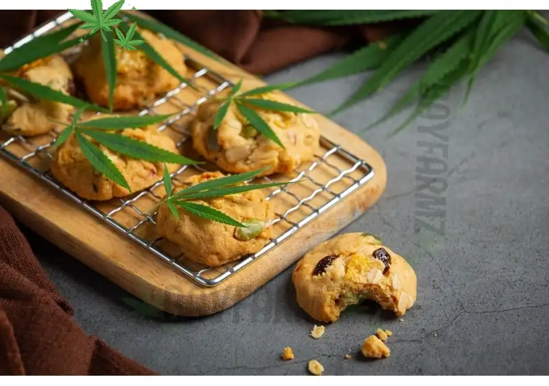 Edibles Extravaganza: Satisfying Your Palate with BayFarmz's Gourmet Cannabis Treats