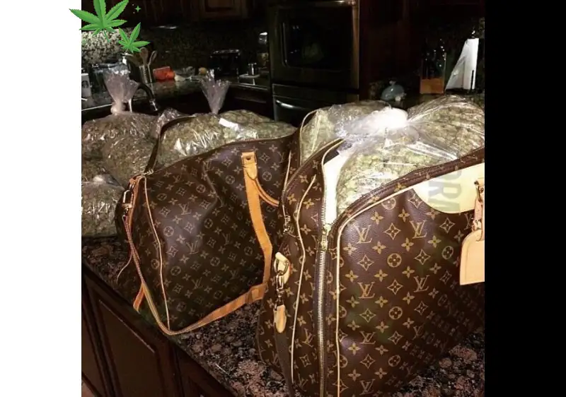 The New Era of Cannabis: Live Rosin, Fresh Press, 710 Dabs and Next‑Level Extracts at BayFarmz