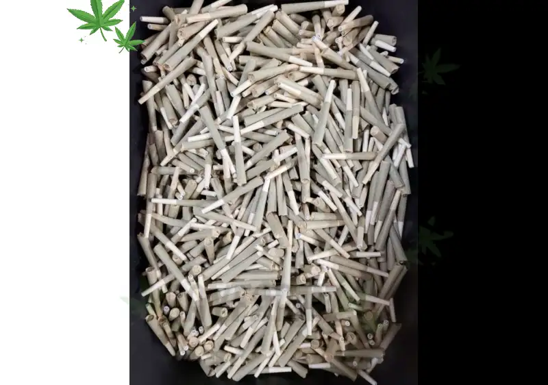 Your Ultimate Guide to Buying Cannabis Online Safely with BayFarmz