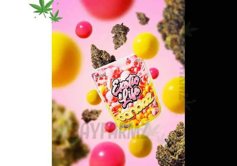 West Coast Alchemy x Flying O Farms: Elite Live Rosin at BayFarmz