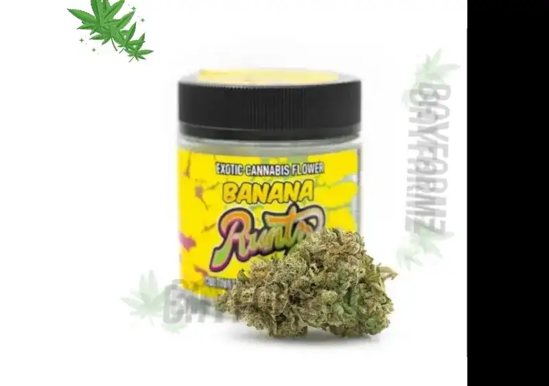 Banana Runtz: Cookies x Runtz Candy Hybrid Perfection at BayFarmz