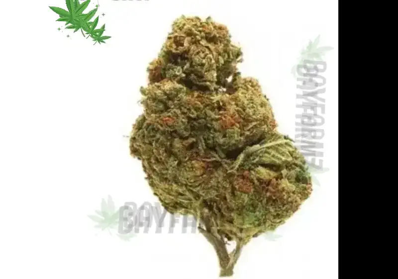 Crunch Berries: Cereal‑Sweet Indica Fire from Exotic Genetix at BayFarmz