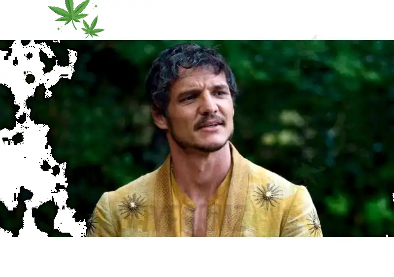 This Past Decade Made Pedro Pascal Hollywood’s Next Leading Man