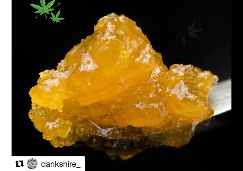 Live Rosin Sauce Jars 2026: BayFarmz Terp Sludge + Diamond Revolution