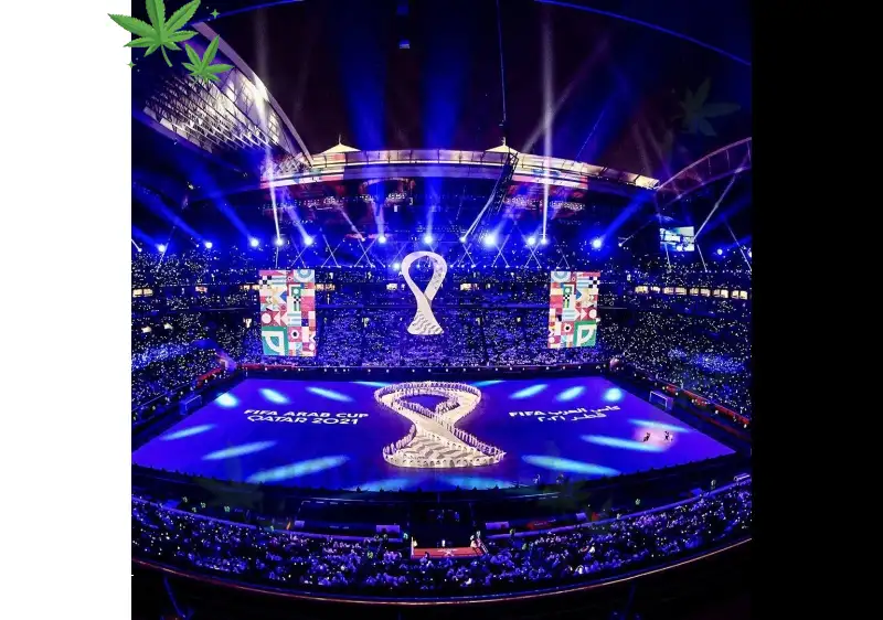 NYC FIFA World Cup 2026: Game Day, Good Vibes & Cannabis Culture