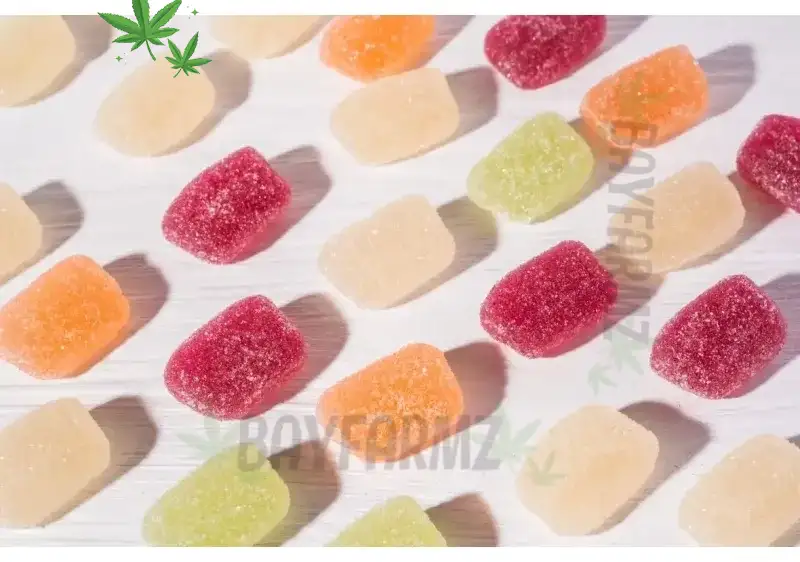 CBD Mints vs. Traditional Edibles: Which Is Right for You?