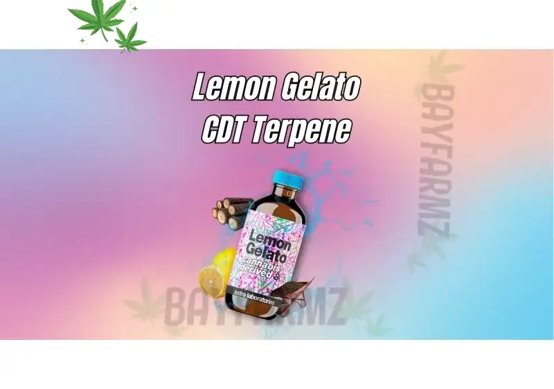 Buy Lemon Cherry Gelato Online: Strain Near Me Shipping