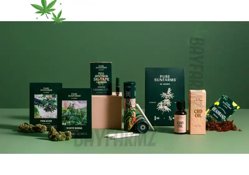 Lion's Mane + CBD Focus Stack 2026 - BayFarmz Cognitive Wellness Protocol