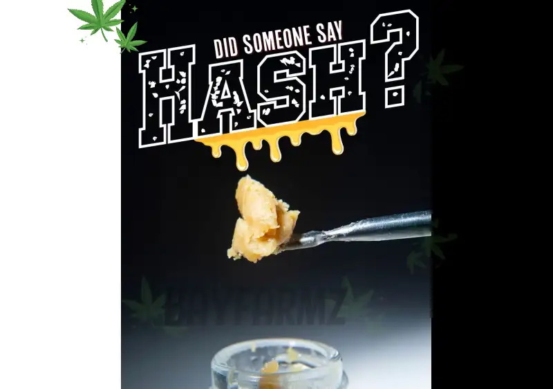 Punch Extracts: Premium Live Rosin & Concentrates at BayFarmz