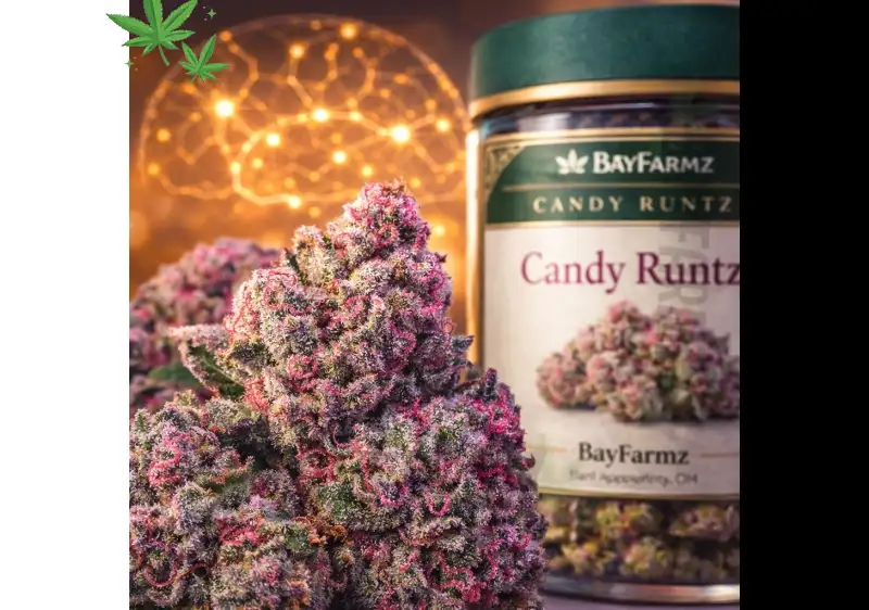 Candy Runtz Strain: BayFarmz Pink Trichome Monster