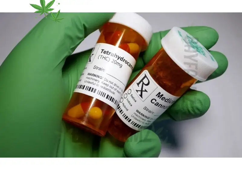 Best CBD:THC Ratios for Pain, Anxiety, Sleep - BayFarmz Medical Guide