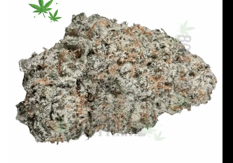 Crunch Berries: Cereal-Sweet Indica Bliss