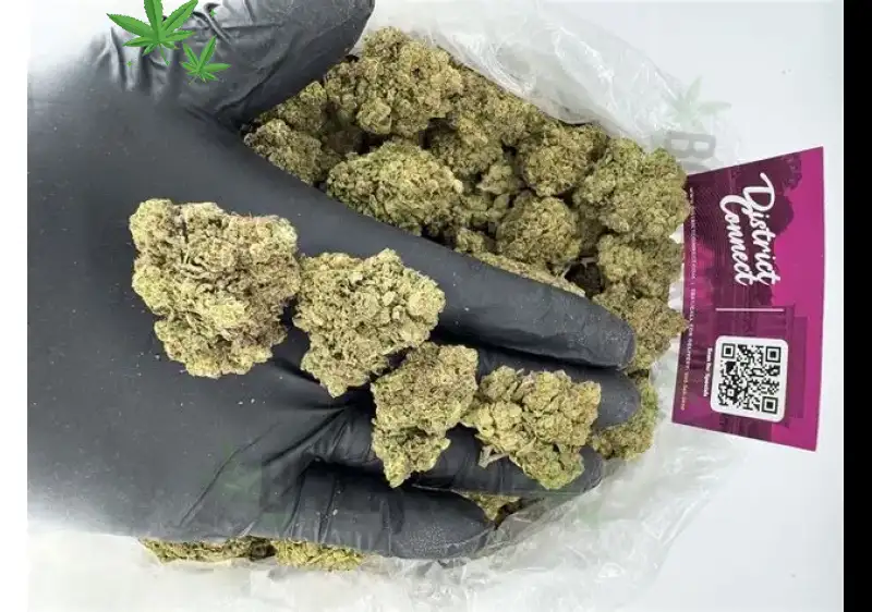 Buy Cherry Blossom Online | Cherry Blossom Near Me | BayFarmz 26% THCa