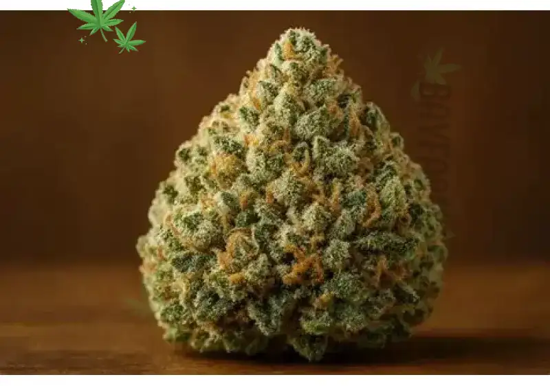 Wedding Cake: Sweet Indica Hybrid Perfection