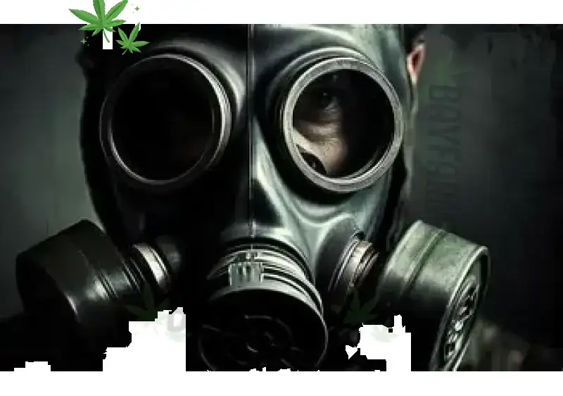 Gas Mask: Punchy Indica That Clears the Smoke
