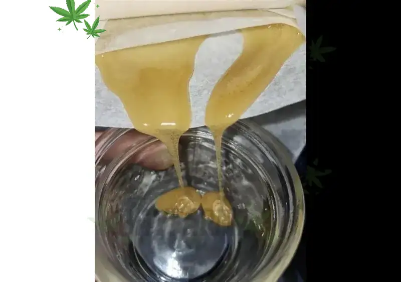 Rosin vs Cannabis in Canada: The Clean High Everyone’s Talking About 🇨🇦