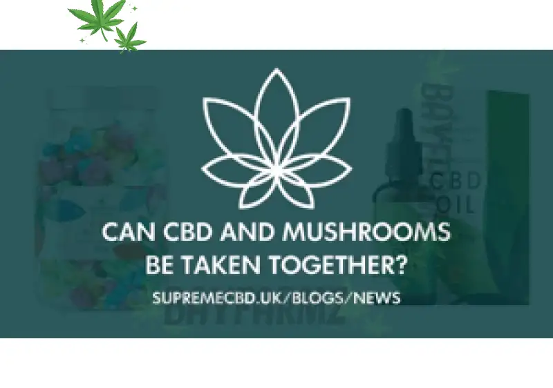 “The Rise of Natural Wellness: From CBD to Functional Mushrooms”