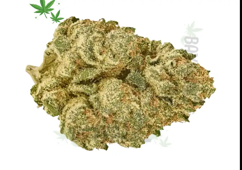 Green Delivery Near Me – Fast, Legal Herbal Delivery