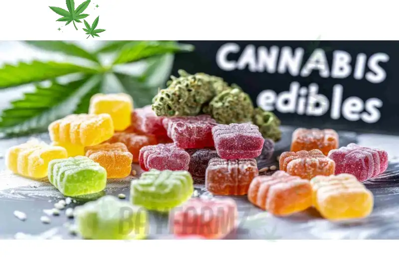 Edibles Delivery Near Me Fast, Discreet Edible Delivery Service