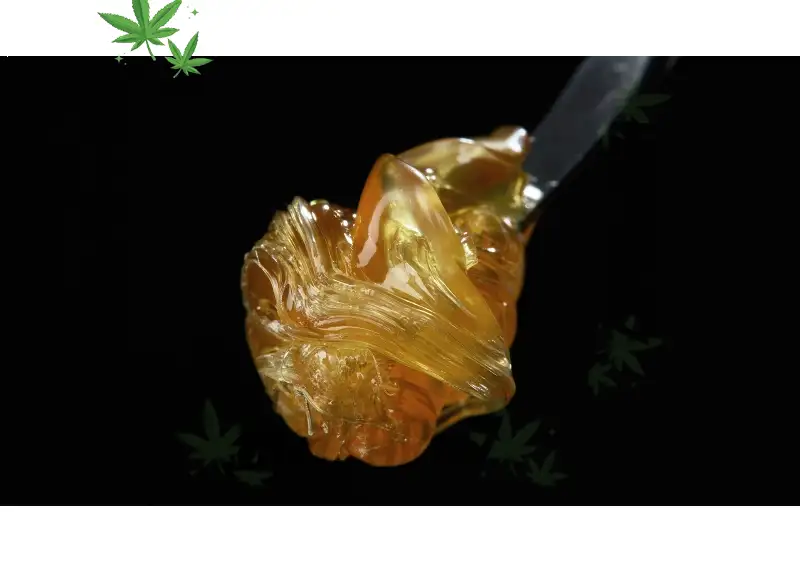 Live Rosin – Premium Solventless Cannabis Concentrates