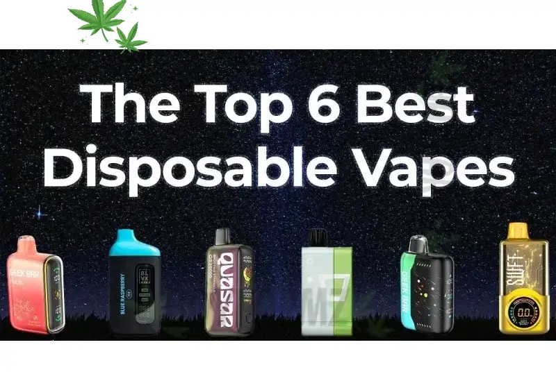 Disposable – Best Disposable Vape Pens & Carts Onlin