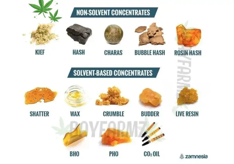 Concentrates – Premium Cannabis Concentrates for Potent, Flavorful Effects