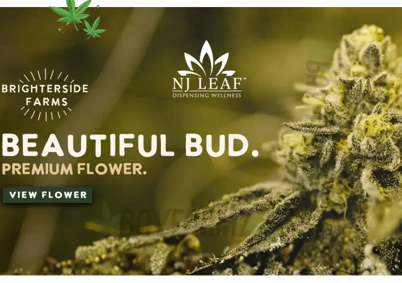 Shop BayFarmz for live rosin, weed gummies, disposable vapes, and premium cannabis products