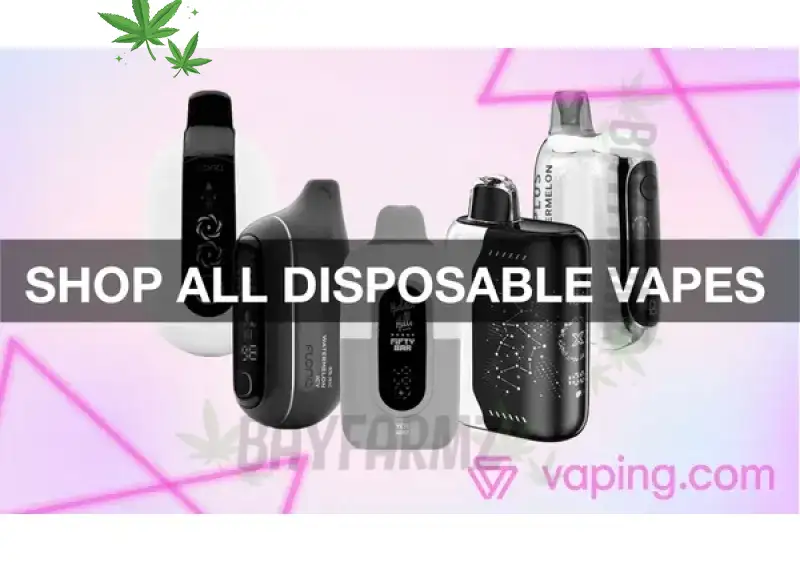 RAZ RYL / RAZ LTX – 25,000–35,000‑Puff Disposable Vape with Long Battery and Bold Flavors at BayFarmz