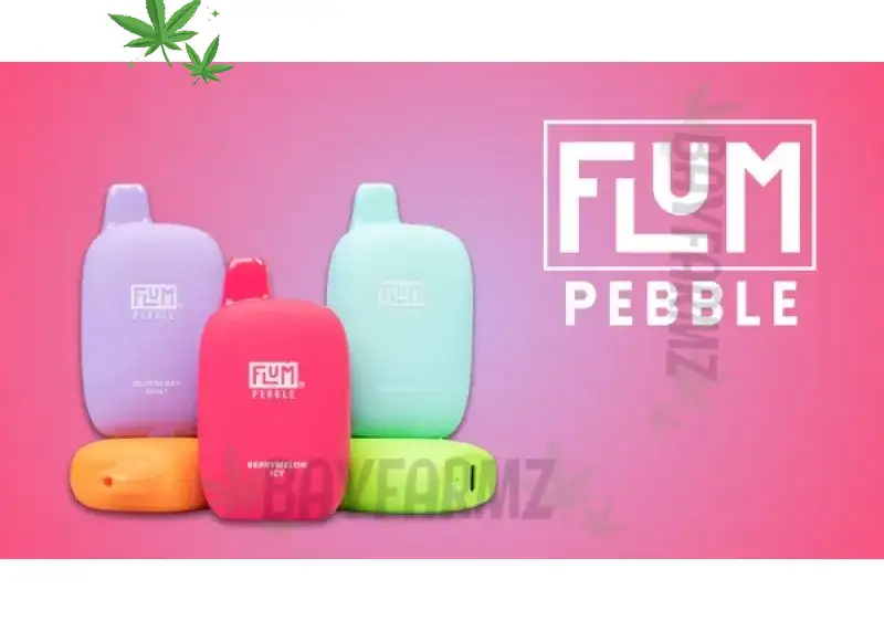 Flum Pebble – 10,000‑Puff Disposable Vape with Bold Ice Flavors at BayFarmz