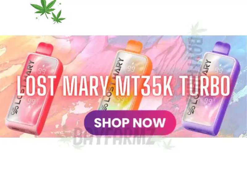 Lost Mary MT35K – 35,000‑Puff Disposable Vape with Bold Ice Flavors at BayFarmz