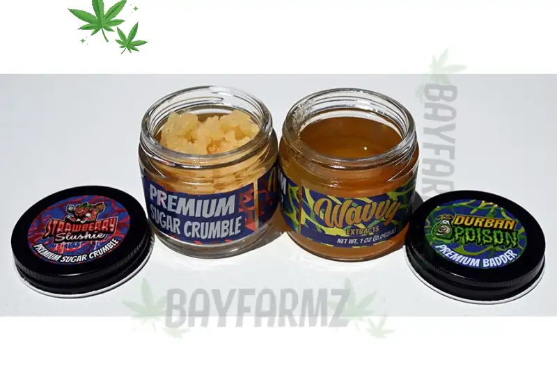 Wavvy Extracts Concentrates – Premium 1‑Ounce Badder & Sugar Jars