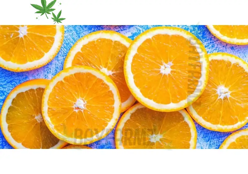 The Natural Cold‑Cure Approach: How Cannabis, Hydration, and Rest Support Recovery | BayFarmz