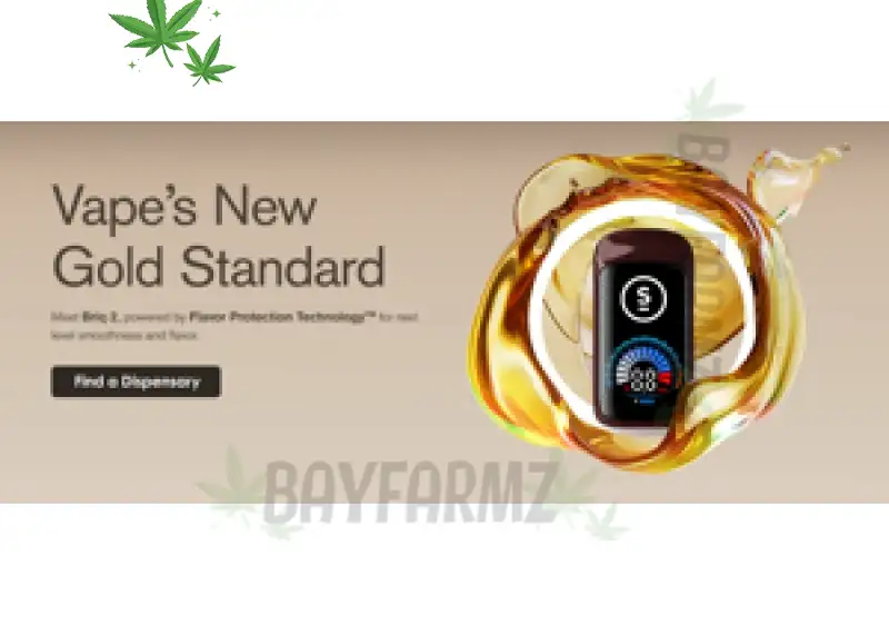 Wavvy Extracts 2 Gram – Live Resin Liquid Diamonds THC Disposable Vape