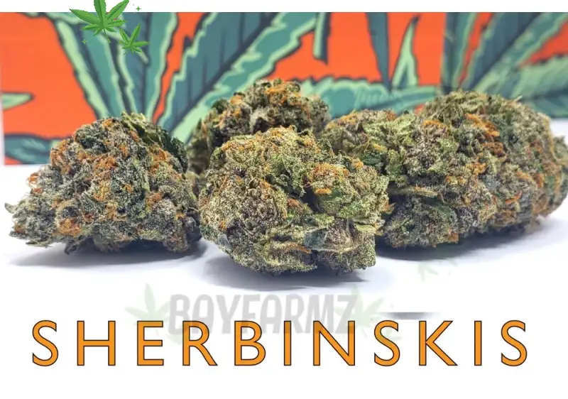 Sherbinskis Premium Indoor Flower – High‑Potency Craft Indoor Cannabis