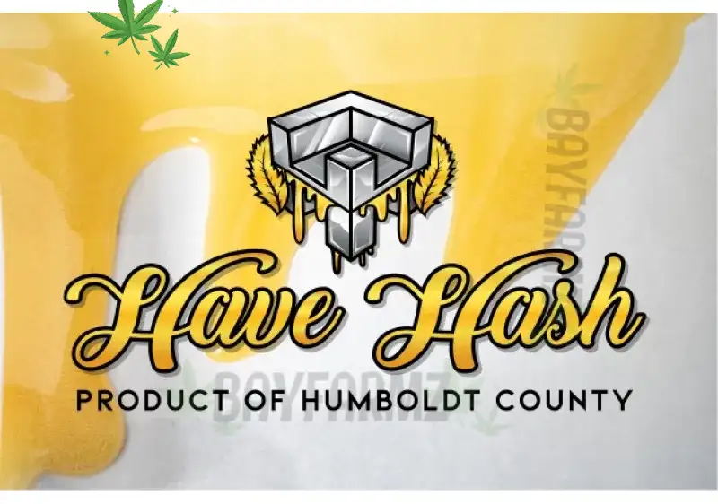 HaveHashh – Solventless Hash