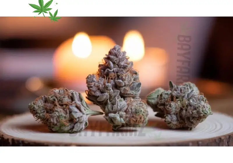 Gastro Pop – Spicy Grape‑Soda Indica‑Dominant Hybrid