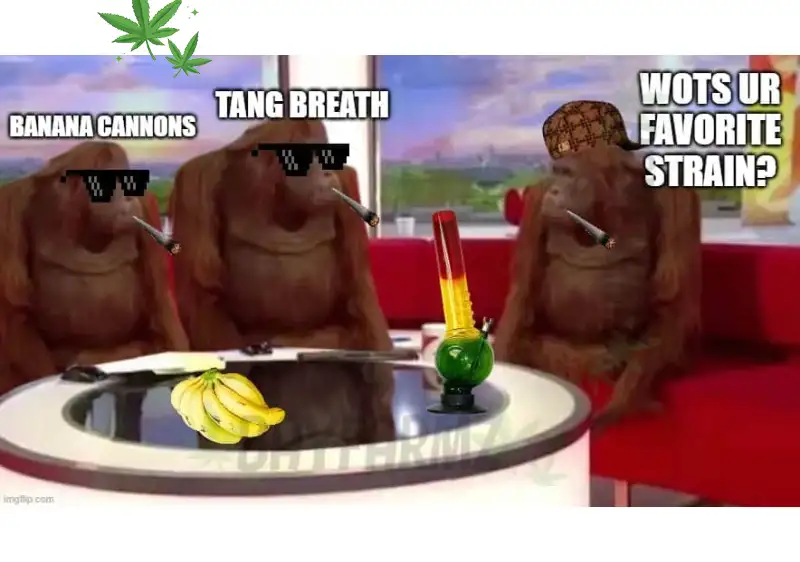 Banana Cannons – Indica‑Dominant Banana‑Fruit Flower (28g)