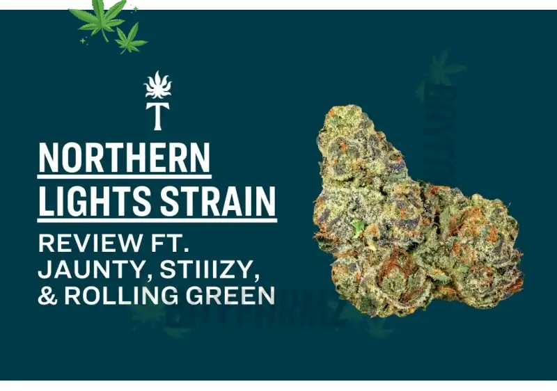 Northern Lights Strain – Classic Earthy Indica Legend