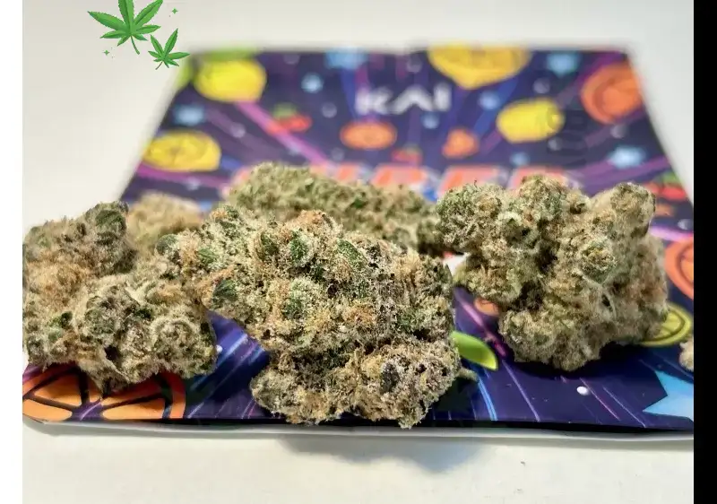 Hibernate Strain – Sleep‑Focused Indica for Deep Recovery