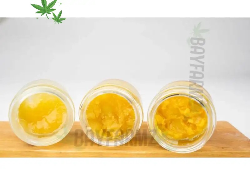 What is Live Rosin? Full Guide to Cannabis Concentrates