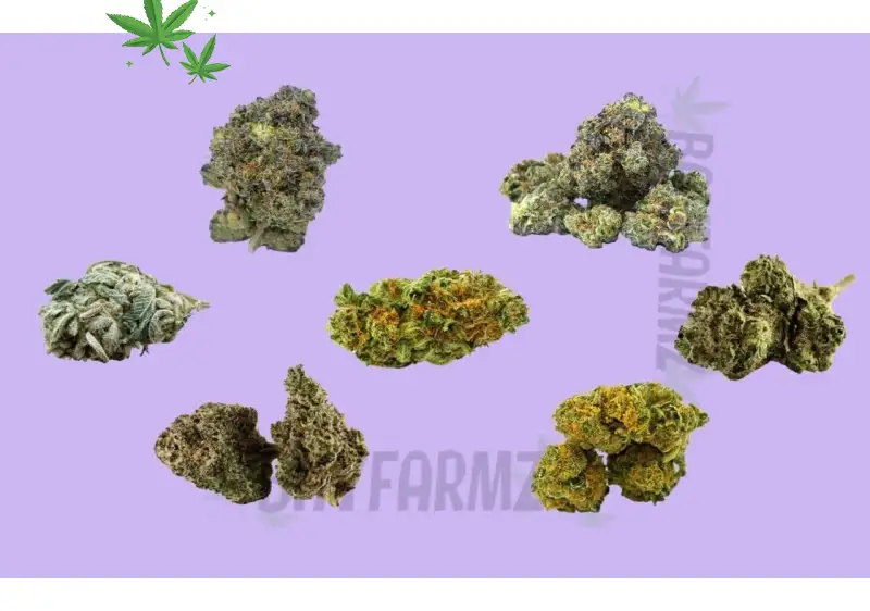 Cannabis Edibles Guide for Beginners 2026