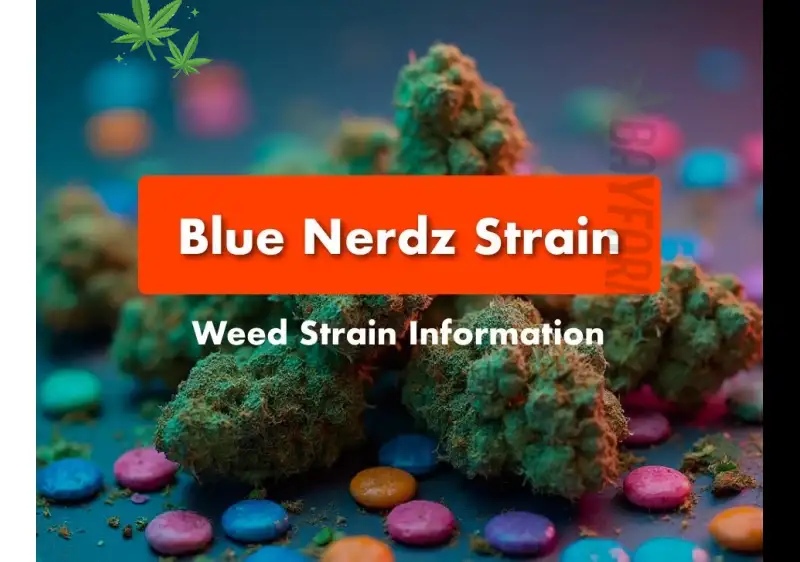 Blue Nerds Strain: Is It Indica or Sativa? Everything You Need to Know