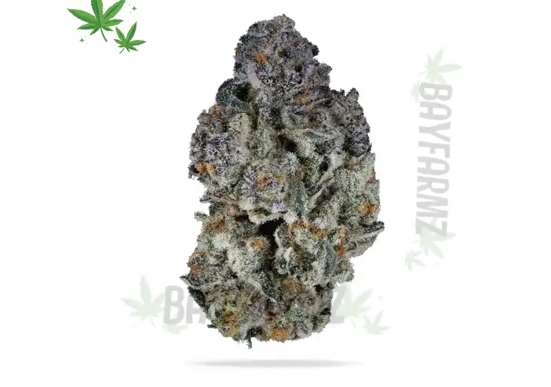 Exploring the Super Runtz Weed Strain: Flavor, Effects, and Benefits