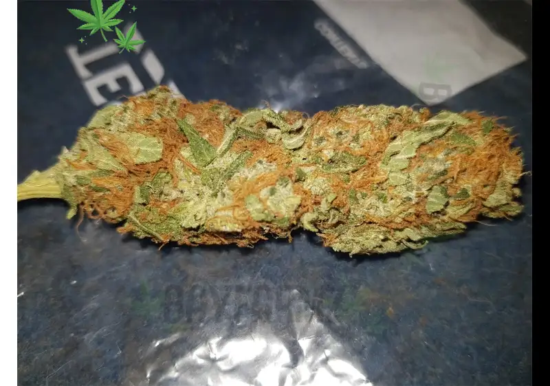 Why the Japanese Peach Strain is a Favorite Among Cannabis Connoisseurs