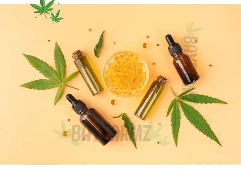 Your Guide to Buy THC and CBD Edibles & Vapes Online Safely and Conveniently