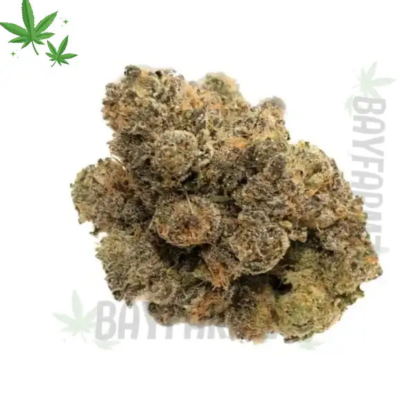 Yuzu Skywalker Og x Z