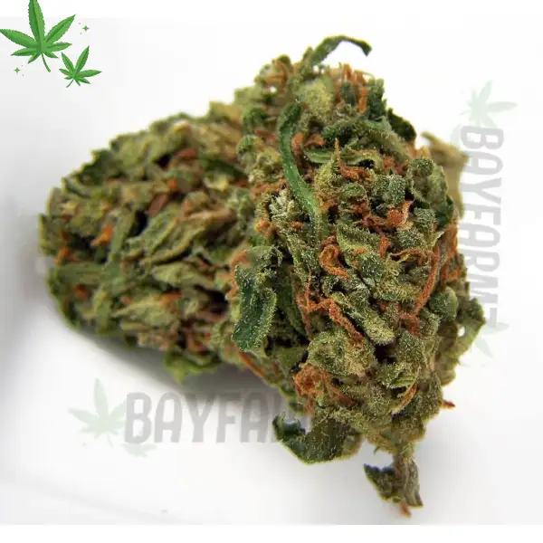 PINEAPPLE KUSH