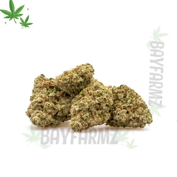 Rainbow Kush