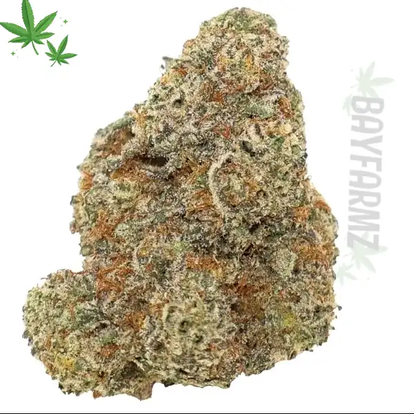 Tropical Gas