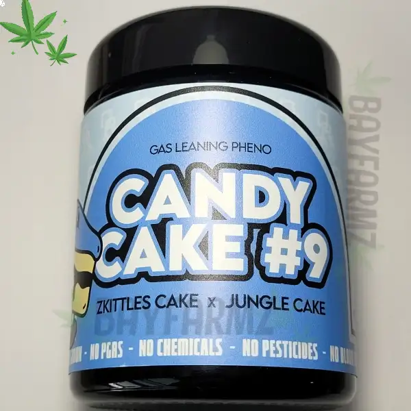 Candy Cake #9